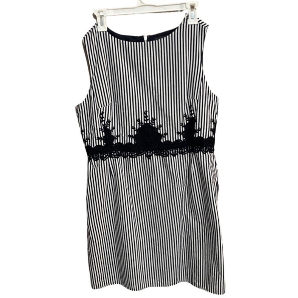 The Limited Blue and White Stripe Dress